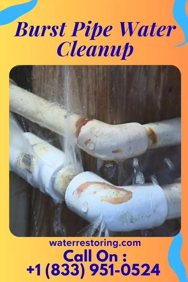 Burst Pipe Water Cleanup in Loganville, PA