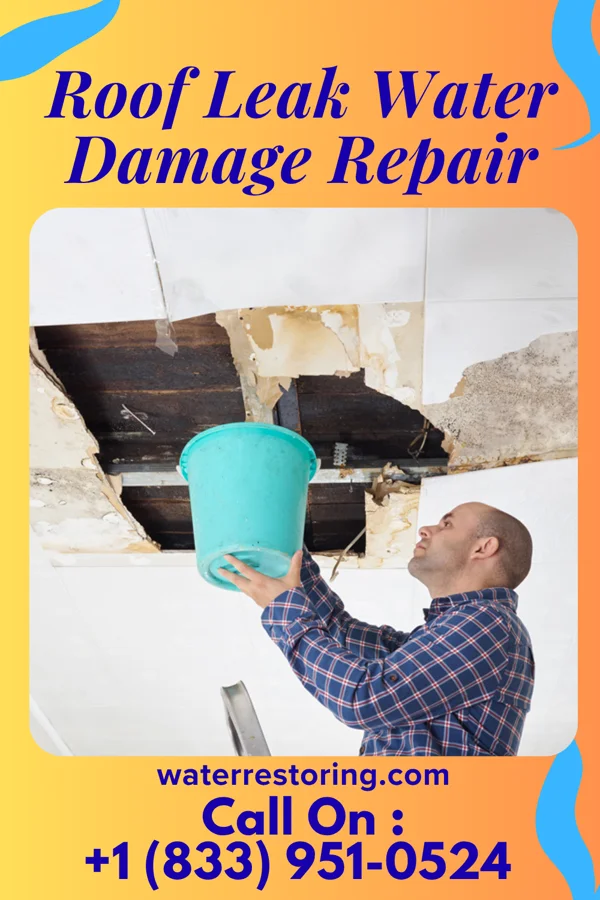 Roof Leak Water Damage Repair in Loganville, PA